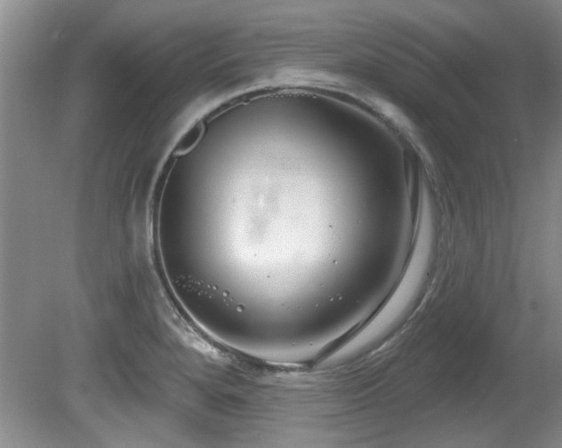 X0000081621280200701151422