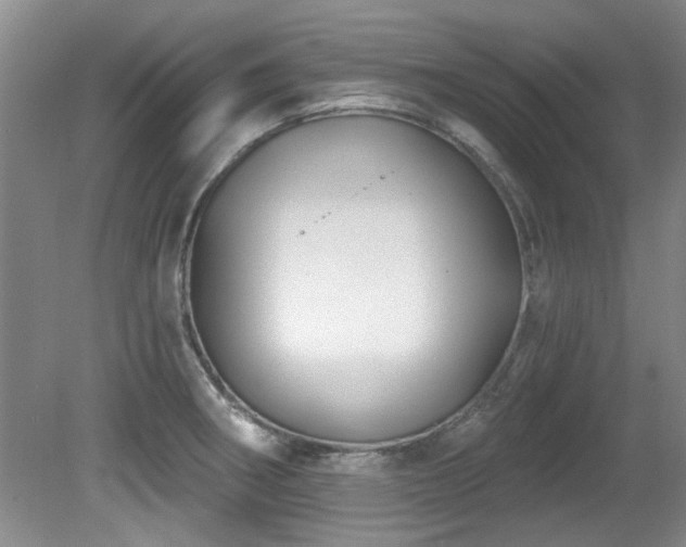 X0000081621282200701151422