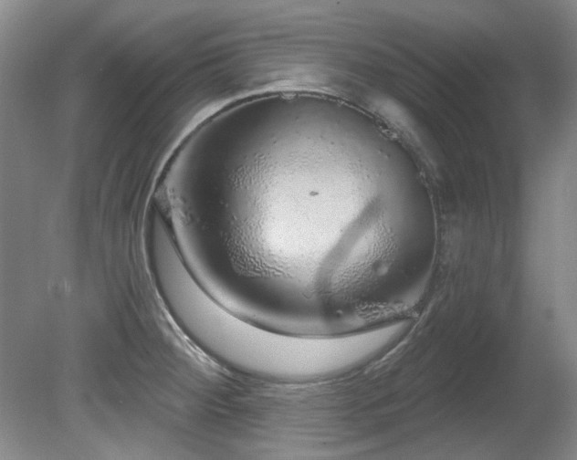X0000081621284200701151422