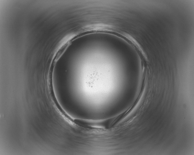 X0000081621285200701151422