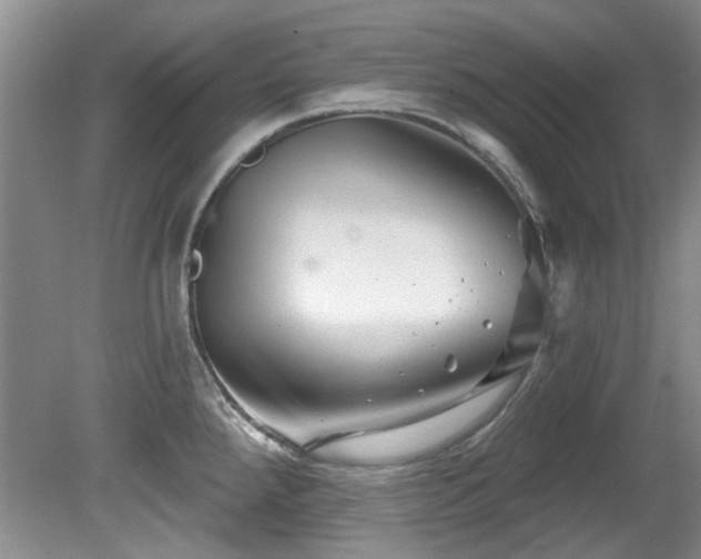 X0000081621288200701151422