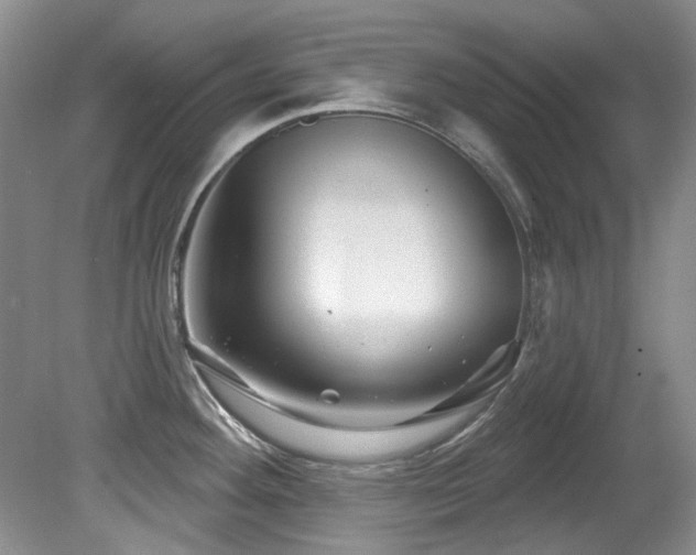 X0000081621292200701151422