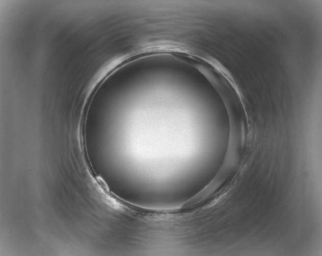 X0000081621293200701151422