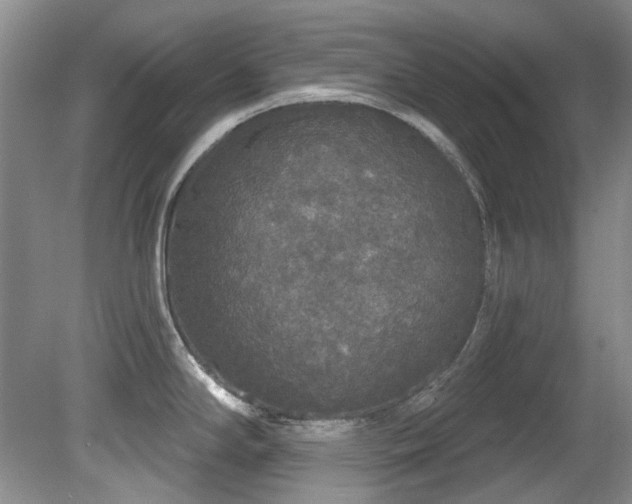 X0000081621294200701151421