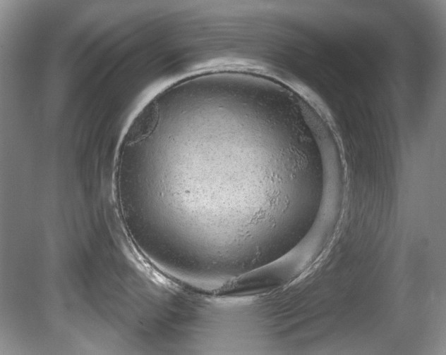 X0000081621296200701151421