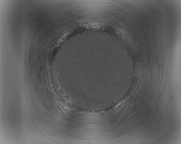 X0000081621297200701151421