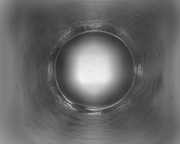 X0000081621299200701151421