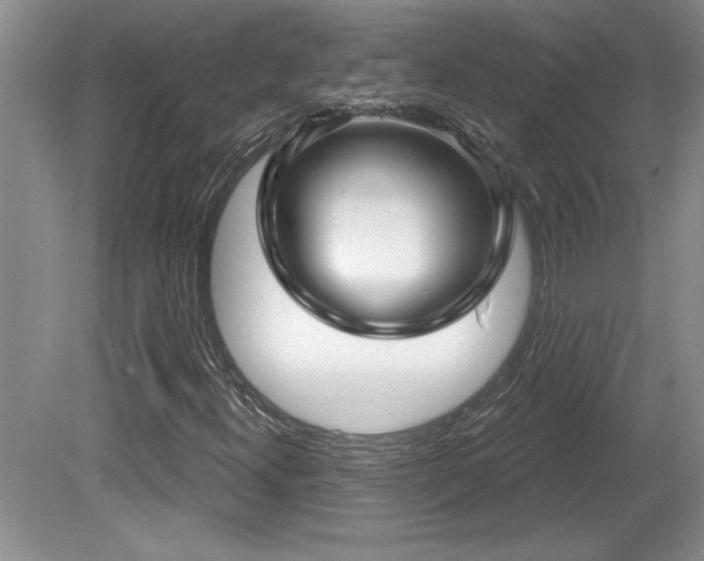 X0000081621300200701151421