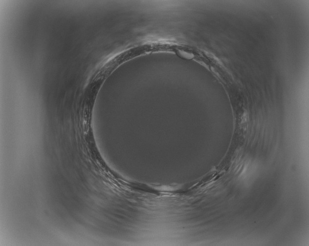 X0000081621303200701151421