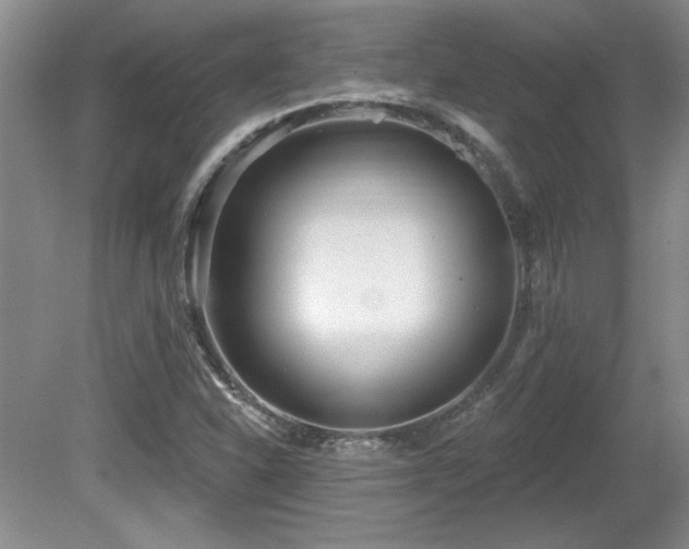 X0000081621310200701151421