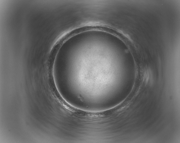 X0000081621311200701151421