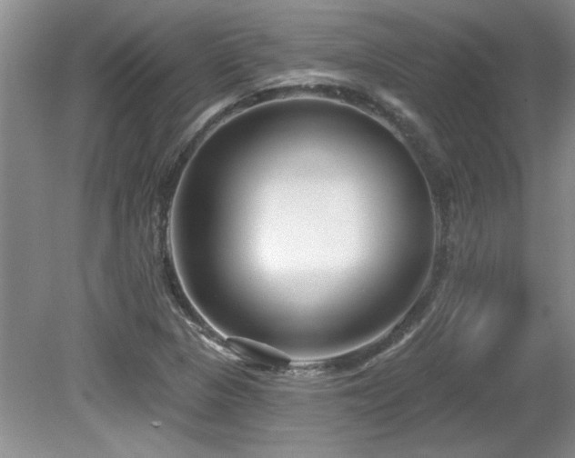 X0000081621313200701151421