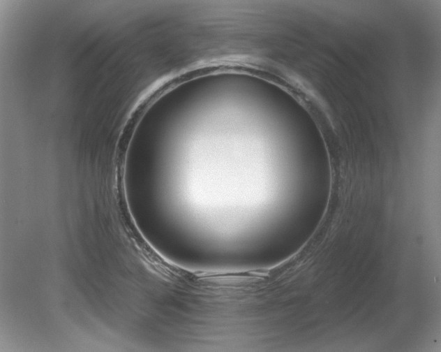X0000081621316200701151421