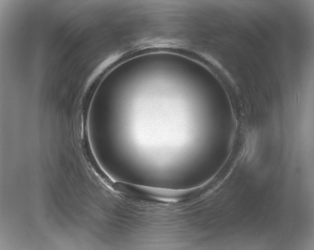 X0000081621317200701151421