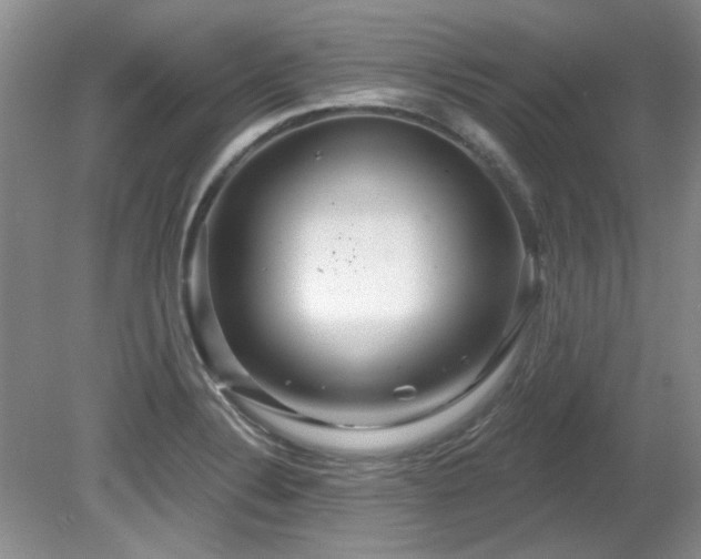 X0000081621324200701151421