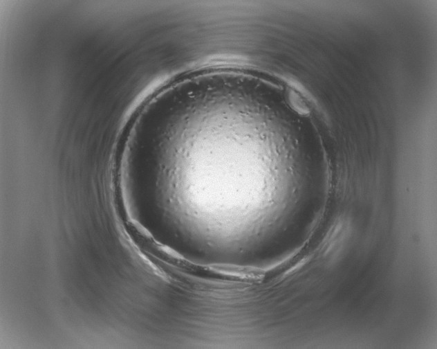 X0000081621325200701151421