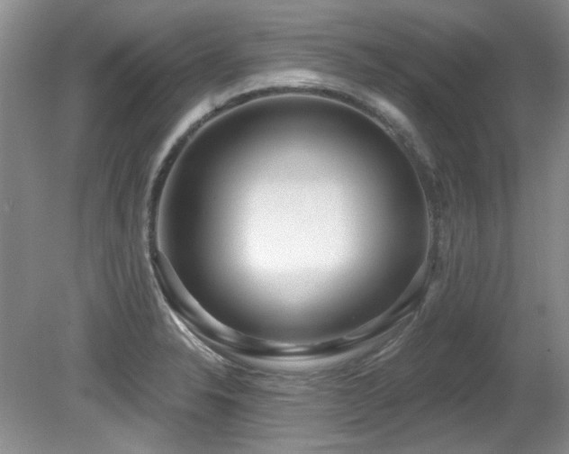 X0000081621326200701151421
