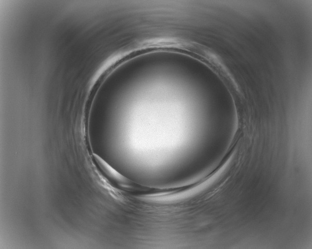 X0000081621328200701151421