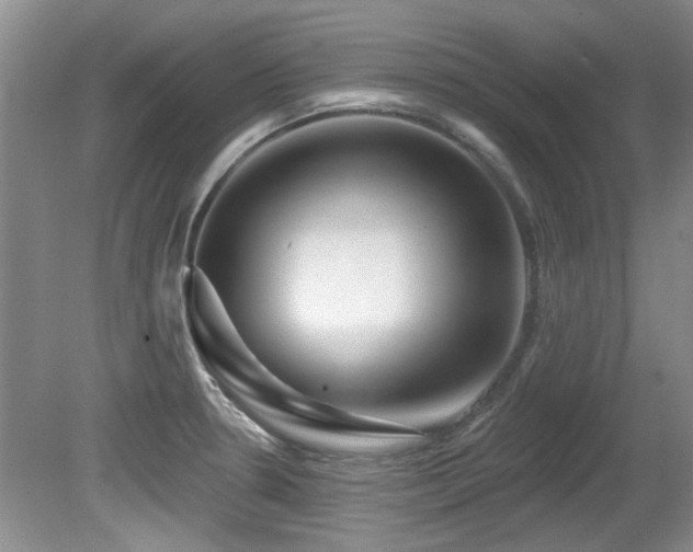 X0000081621330200701151421