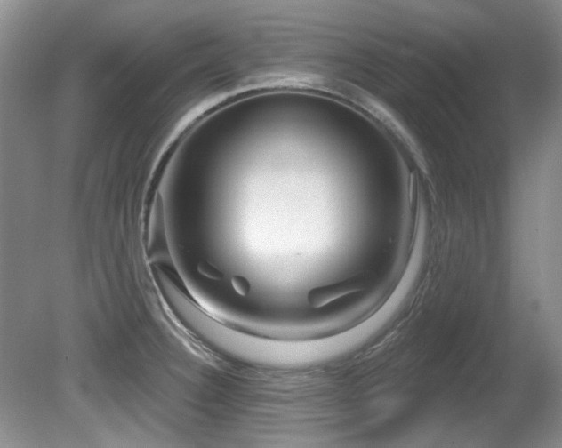 X0000081621332200701151421