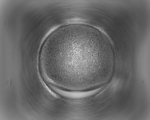 X0000081621333200701151421