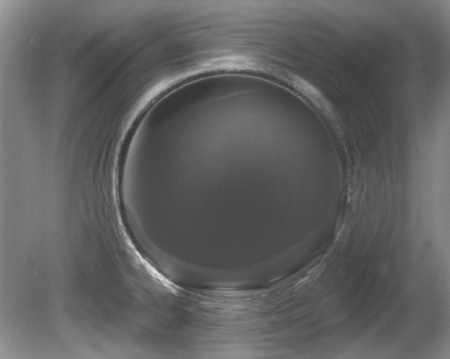 X0000081621334200701151421