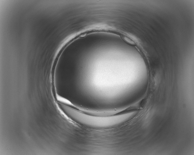 X0000081621335200701151421