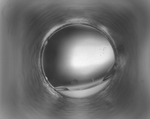 X0000081621336200701151421