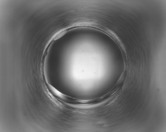 X0000081621340200701151421