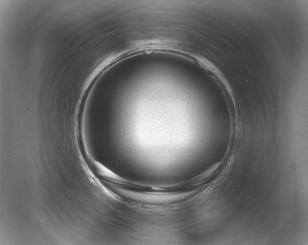 X0000081621341200701151421