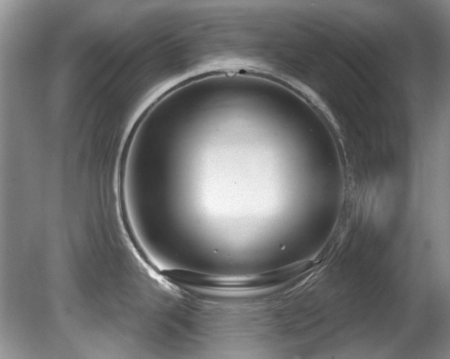 X0000081621343200701151421
