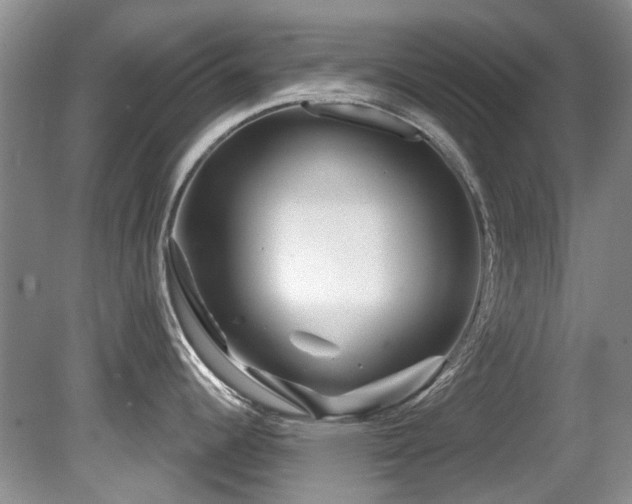 X0000081621344200701151421