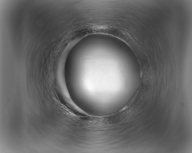 X0000081621345200701151421