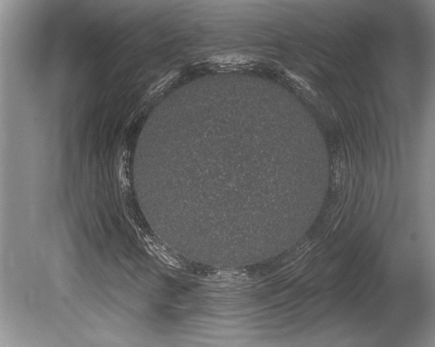 X0000081621346200701151421