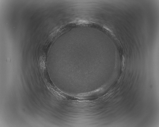 X0000081621348200701151421