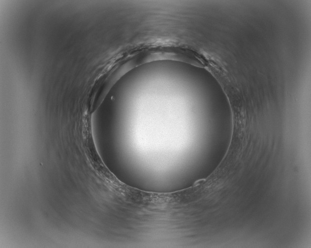 X0000081621349200701151421