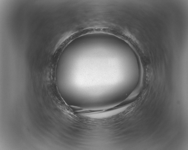 X0000081621352200701151421