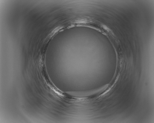 X0000081621353200701151420
