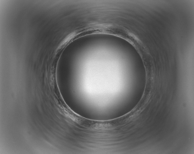 X0000081621354200701151420