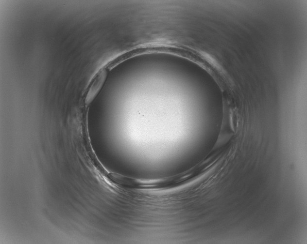 X0000081621356200701151420