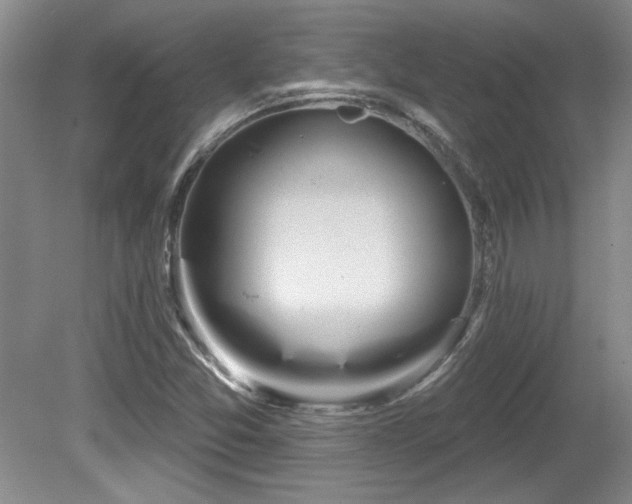 X0000081621357200701151420