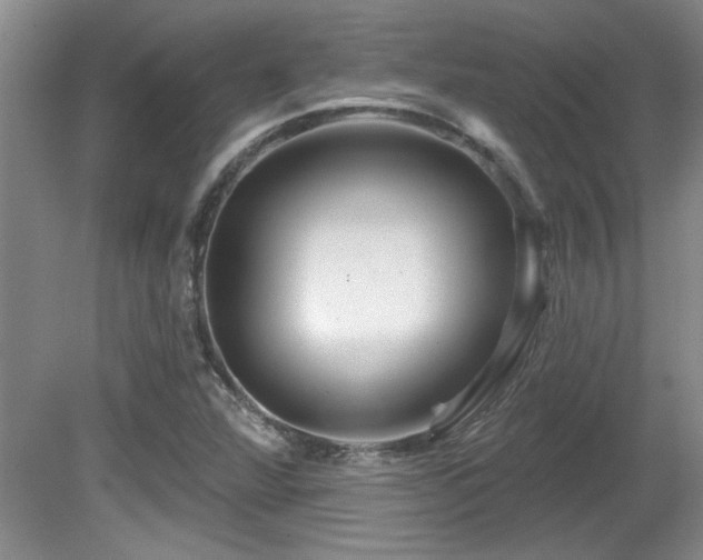 X0000081621360200701151420
