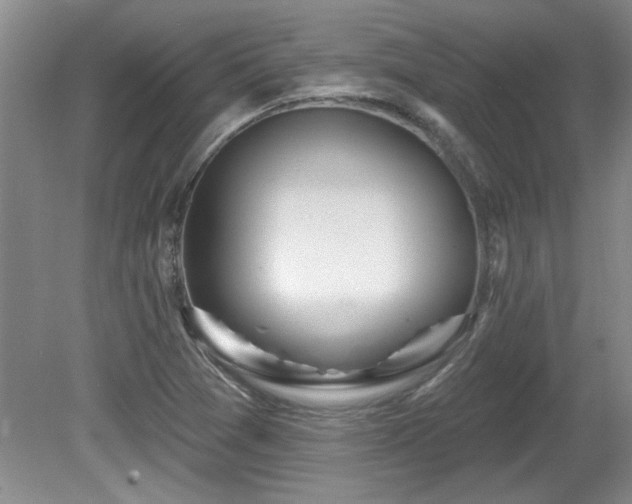X0000081621361200701151420