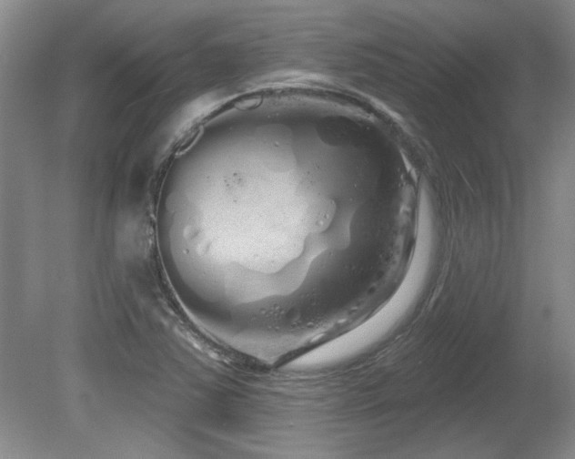 X0000081621363200701151420