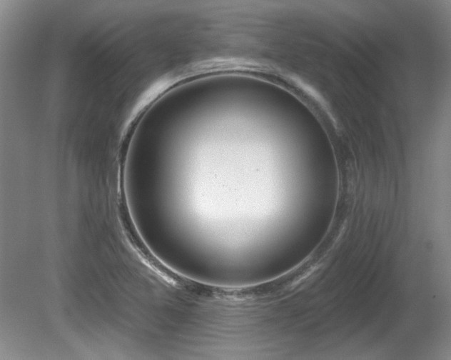 X0000081621365200701151420