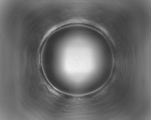 X0000081621366200701151420