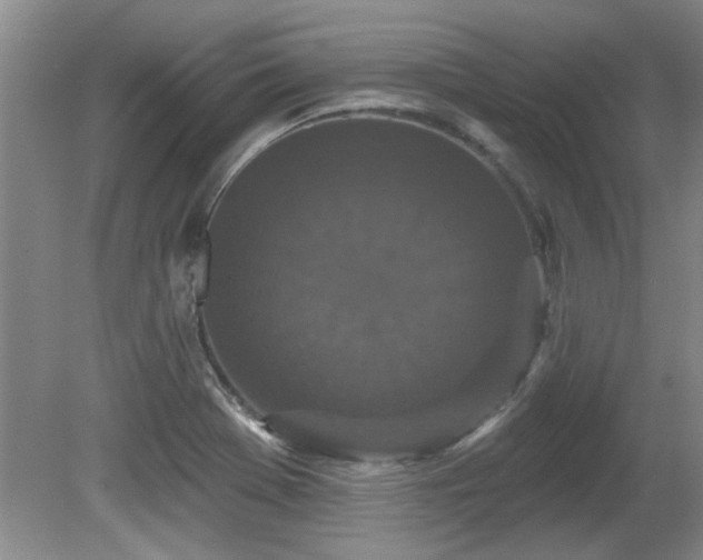 X0000081621369200701151420