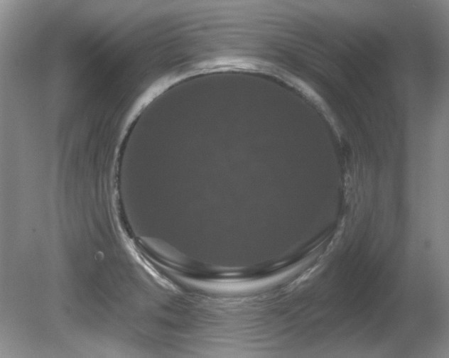 X0000081621373200701151420