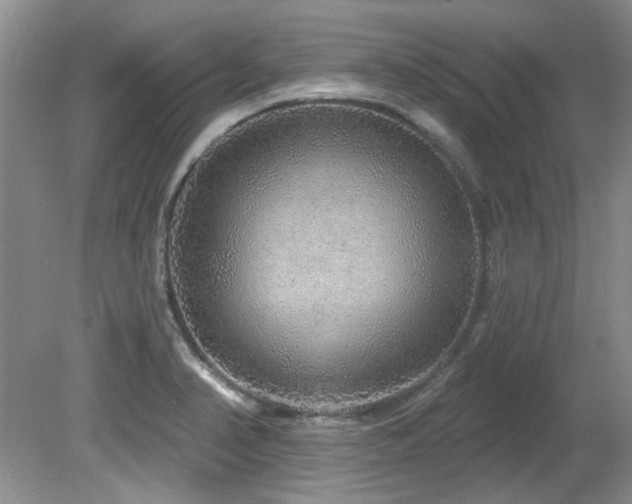 X0000081621374200701151420