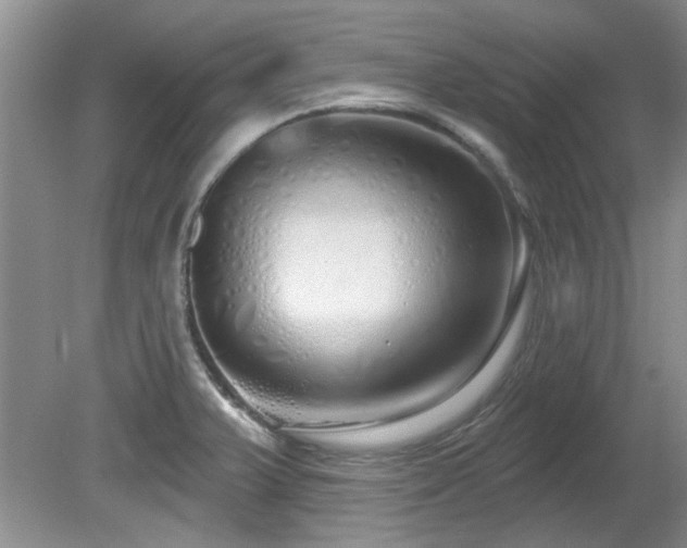 X0000081621375200701151420